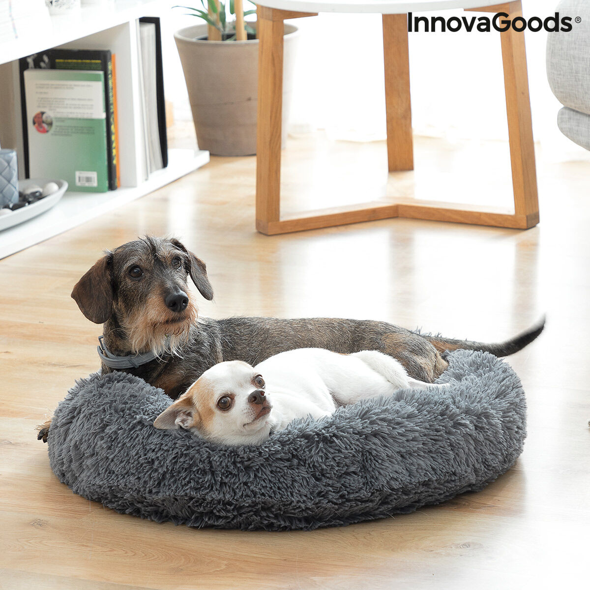 Anti Stress Hundebett / Hundepaltz Bepess von InnovaGoods Ø 60 cm