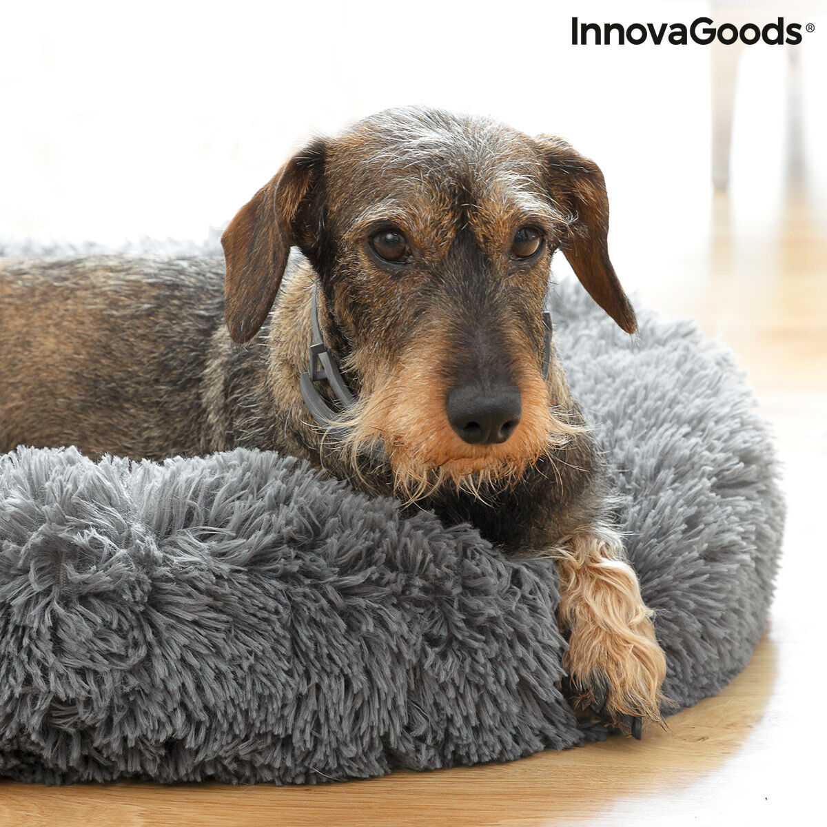 Anti Stress Hundebett / Hundepaltz Bepess von InnovaGoods Ø 60 cm