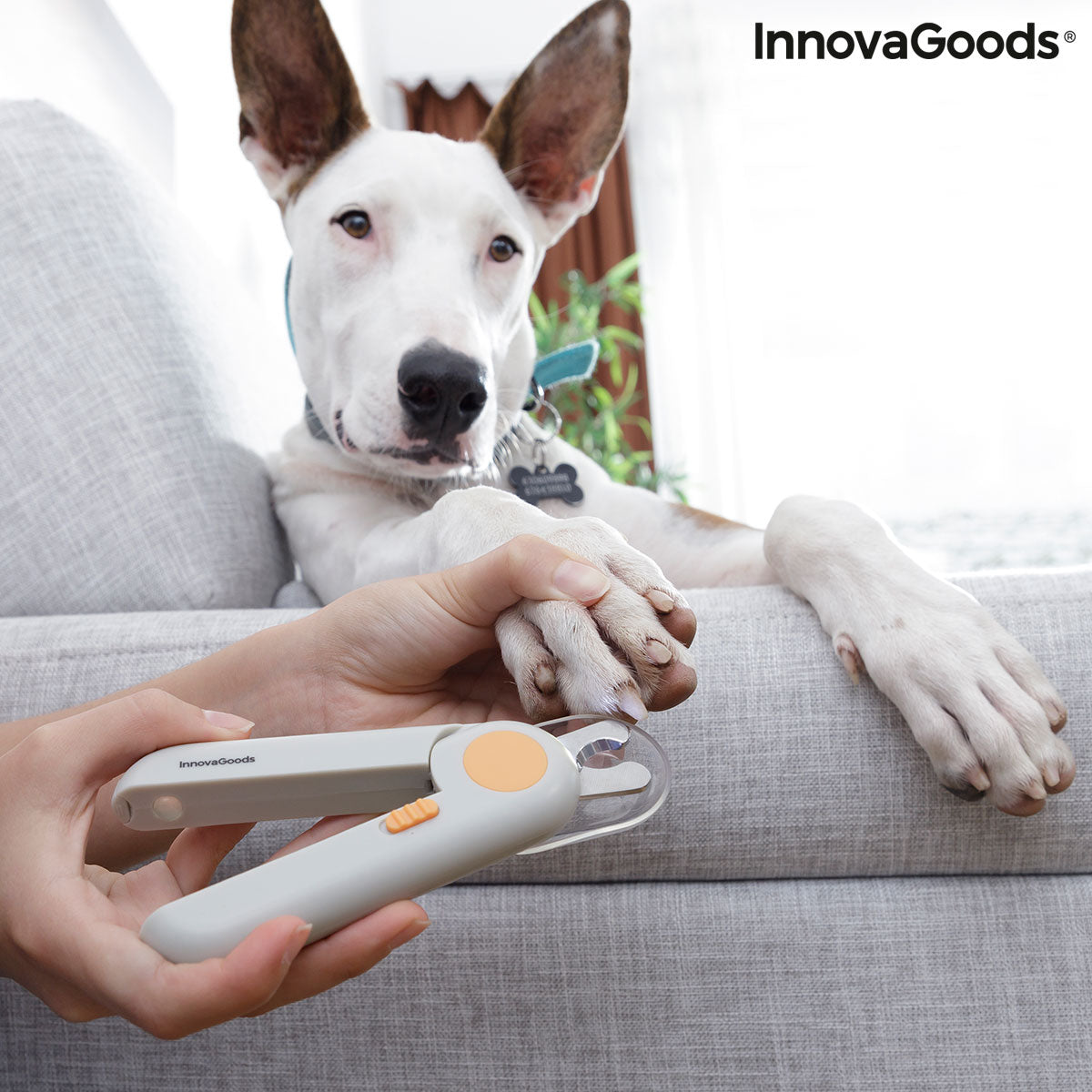 Nagelknipser für Hunde (Haustiere) mit LED-Licht von Clipet InnovaGoods