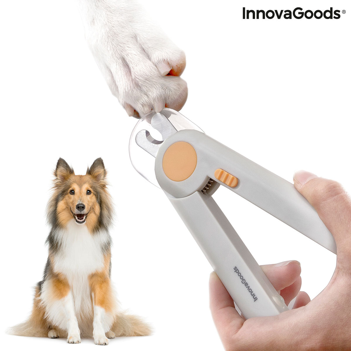 Nagelknipser für Hunde (Haustiere) mit LED-Licht von Clipet InnovaGoods