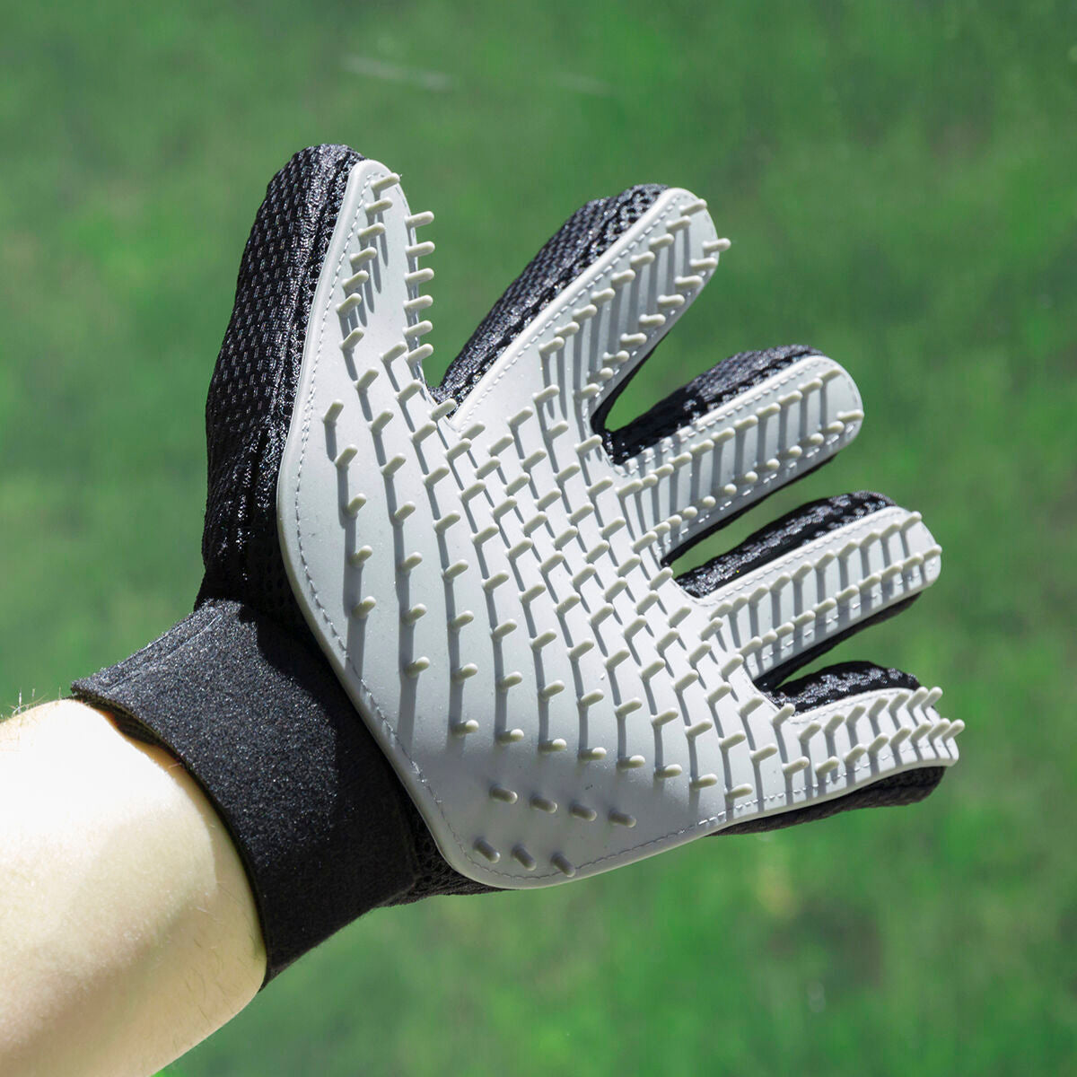 Hunde Bürste- und Massage Handschuh Relpet von InnovaGoods