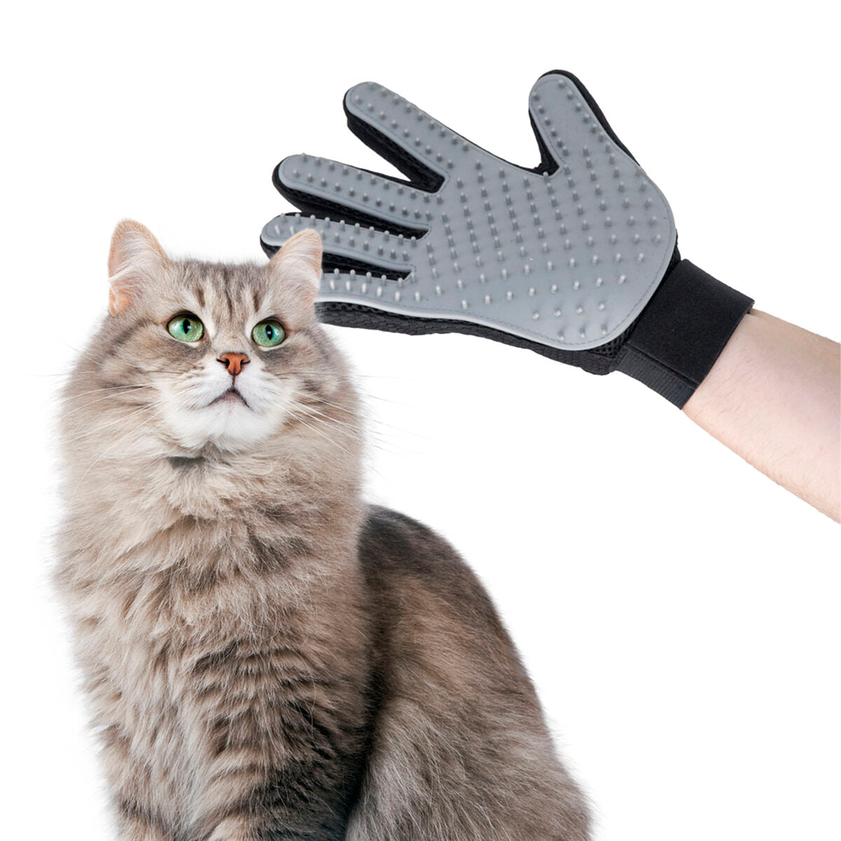 Hunde Bürste- und Massage Handschuh Relpet von InnovaGoods