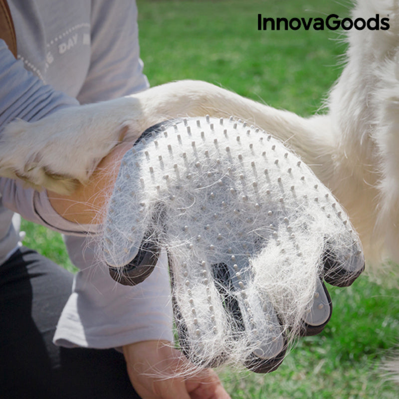 Hunde Bürste- und Massage Handschuh Relpet von InnovaGoods