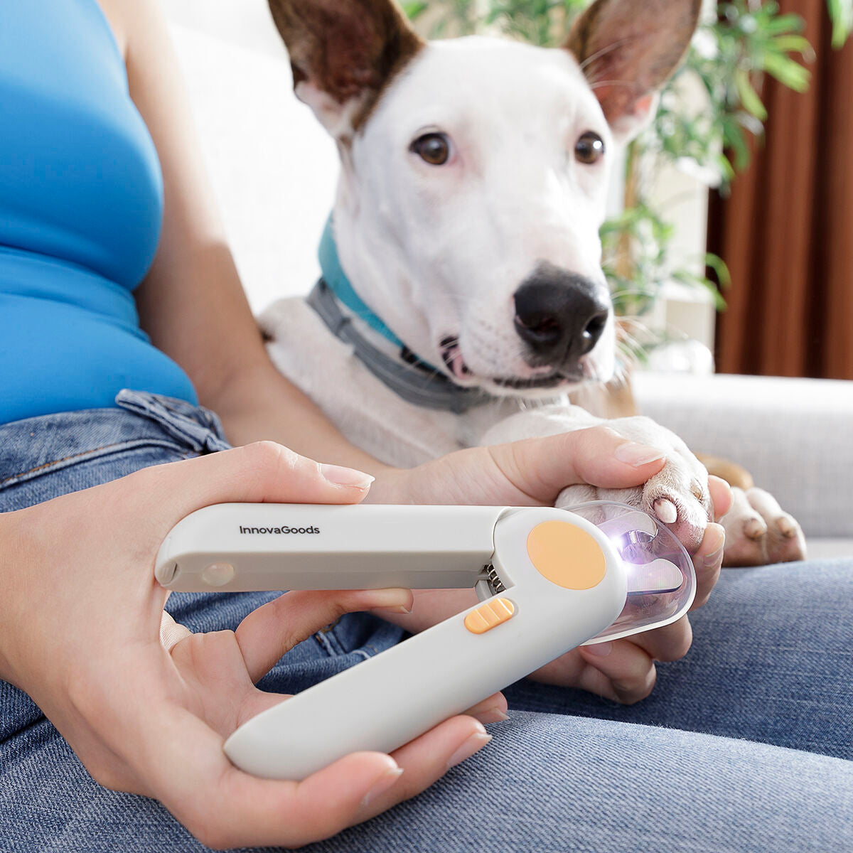 Nagelknipser für Hunde (Haustiere) mit LED-Licht von Clipet InnovaGoods