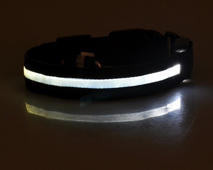 LED Hundehalsband – Sichtbarkeit & Sicherheit bei Nacht