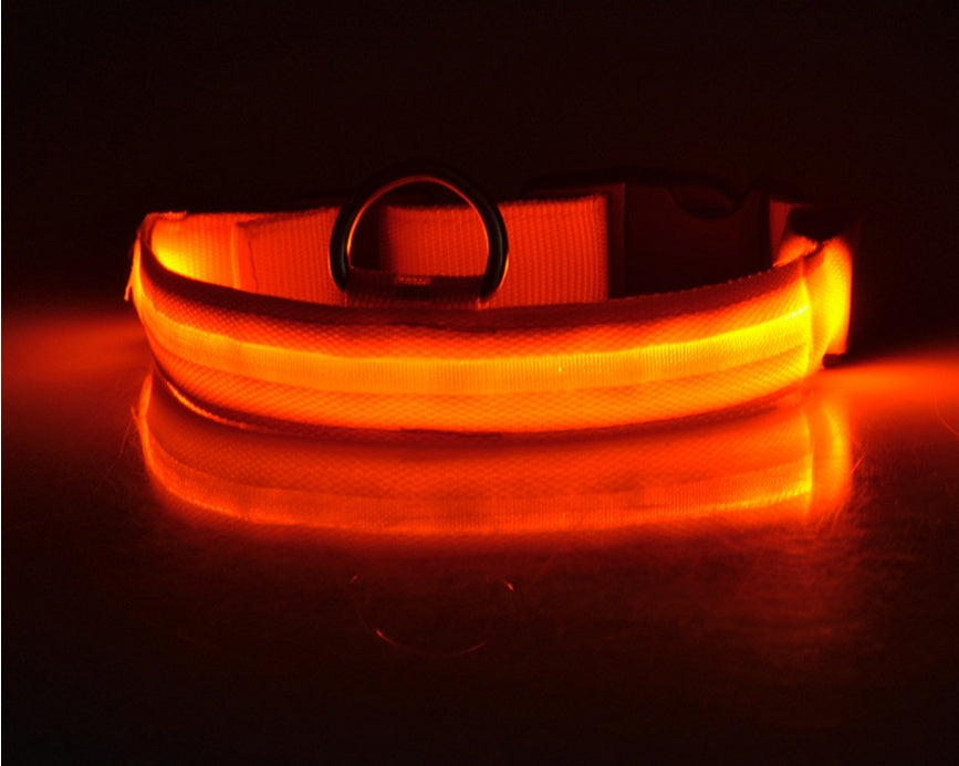 LED Hundehalsband – Sichtbarkeit & Sicherheit bei Nacht