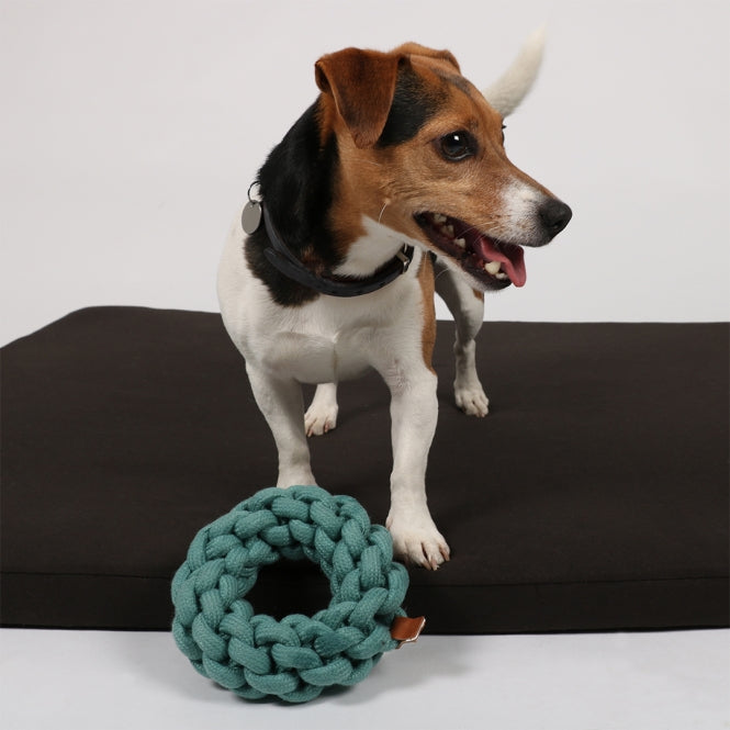 D&D Hundespielring – Geflochtener Kau - und Zerrring für Hunde Größe 13x13x4,5