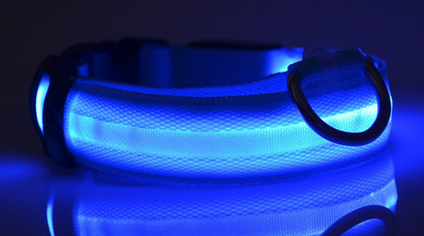 LED Hundehalsband – Sichtbarkeit & Sicherheit bei Nacht